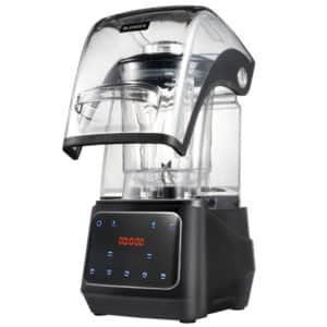DNA Commercial Blender