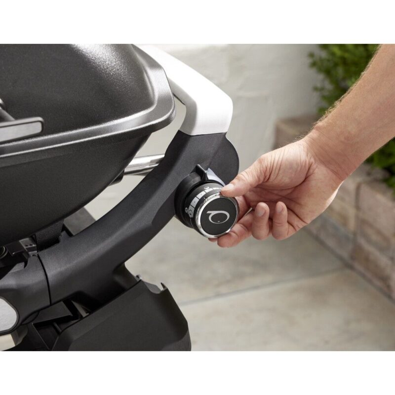 Weber Q2200N Gas Braai with Stand - 1501142